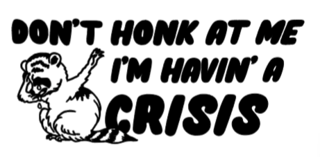 Don't Honk Decal